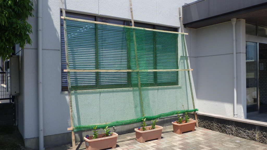 RIMG7854
