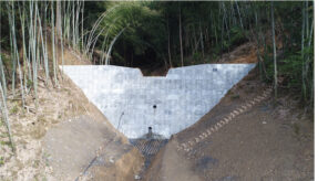 令和2年度緊急予防治山工事(特別枠分)イメージ